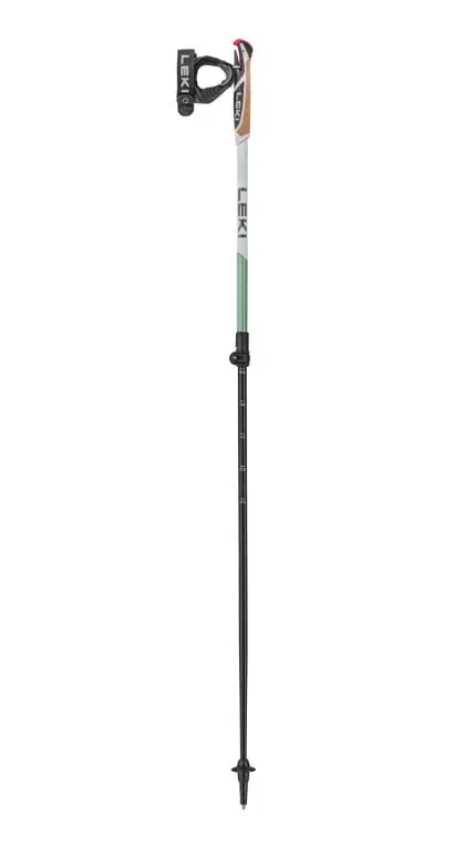 Must-Have LEKI Spin Shark SL white-smokegreen-dark anthracite