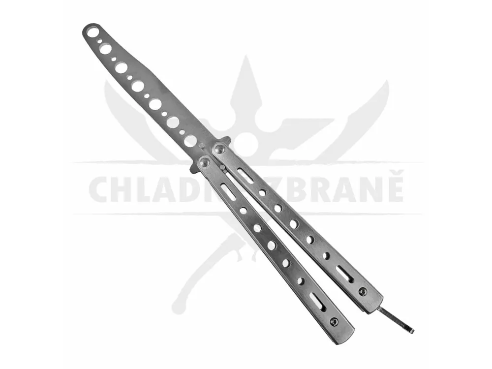 Tréninkový motýlek "LITTLE SILVER BUTTERFLY" Top Prodej
