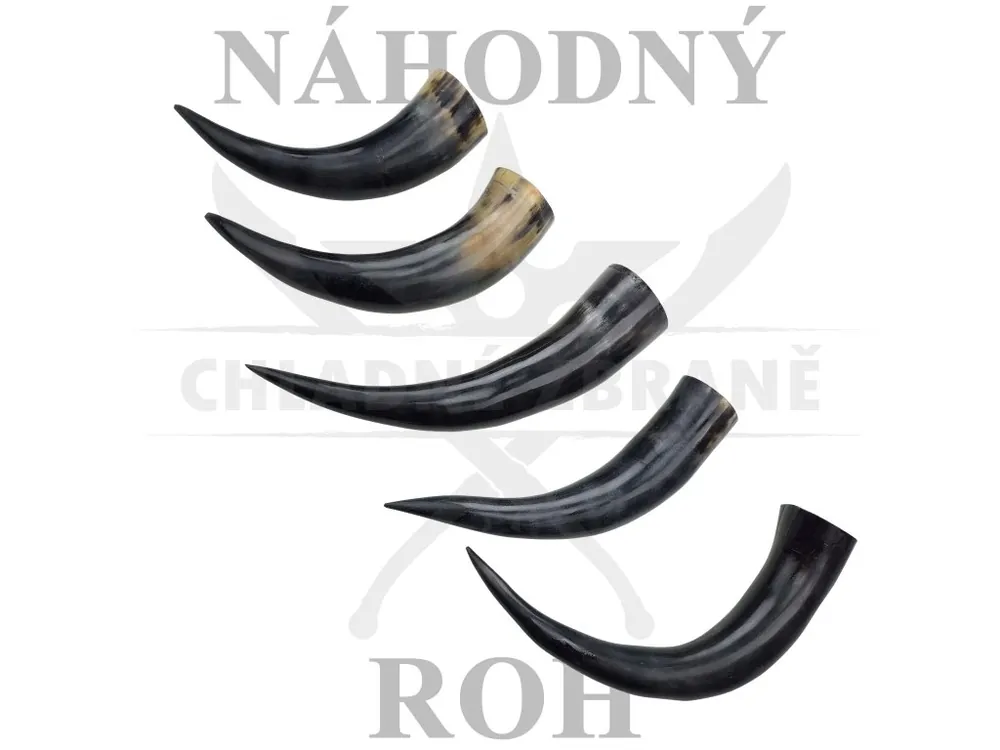 Nakupujte Hned Náhodný bůvolí roh "MYSTERY HORN"