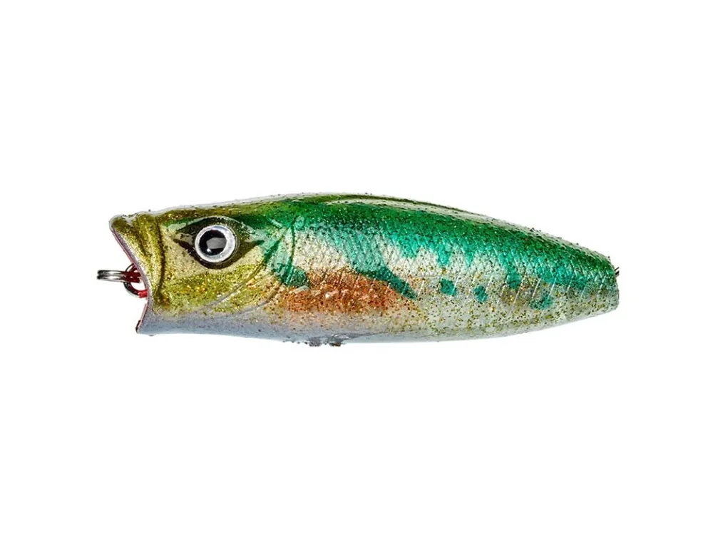 Hedora 5,5cm F Strass Frog Získejte slevu -5% za registraci v e-shopu Oblíbený