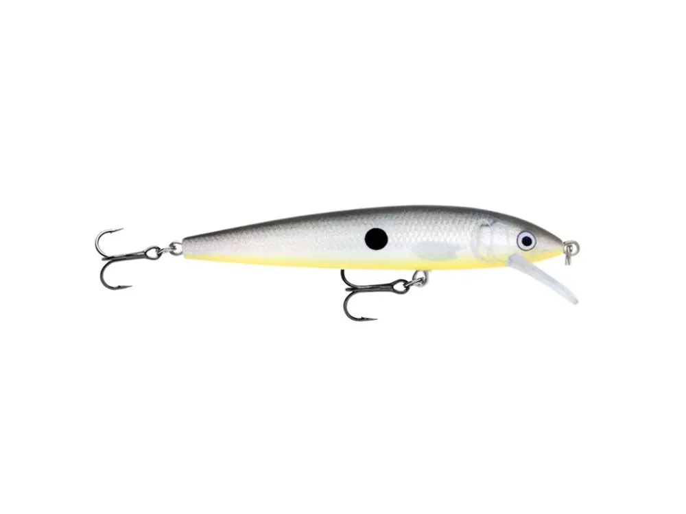 Nejprodávanější Rapala Husky Jerk 10 GGS Získejte slevu -5% za registraci v e-shopu