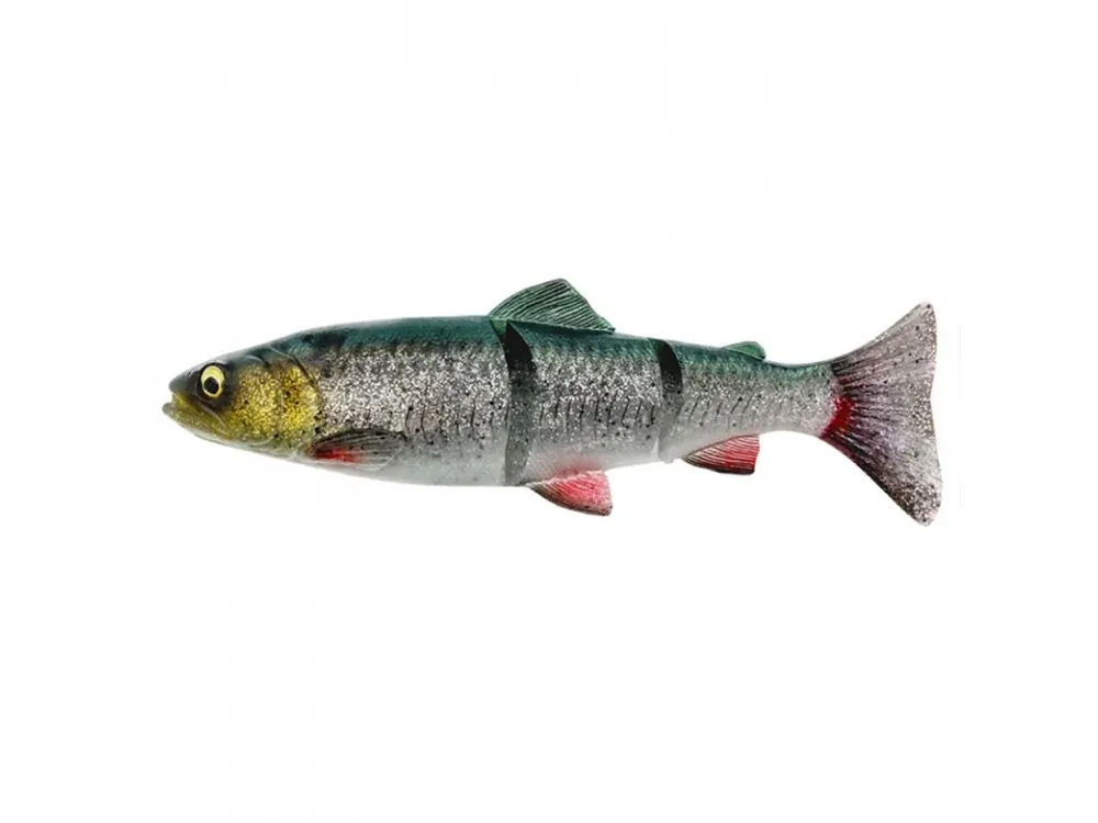 Hit Sezóny Savage Gear 4D Line-Thru Trout 20cm 93g Získejte slevu -5% za registraci v e-shopu