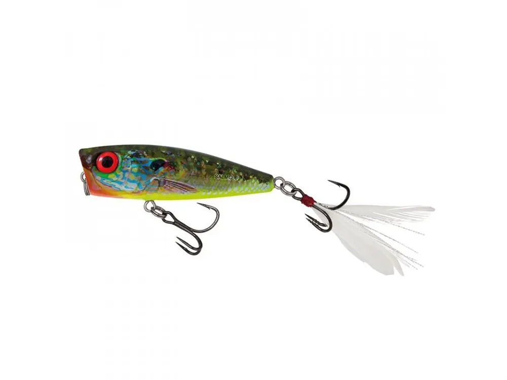 Ověřený Salmo Rattlin Pop 7cm RHB Získejte slevu -5% za registraci v e-shopu