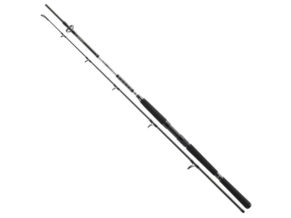 Daiwa BG 2,4m 150-400g Získejte slevu -5% za registraci v e-shopu Sleva