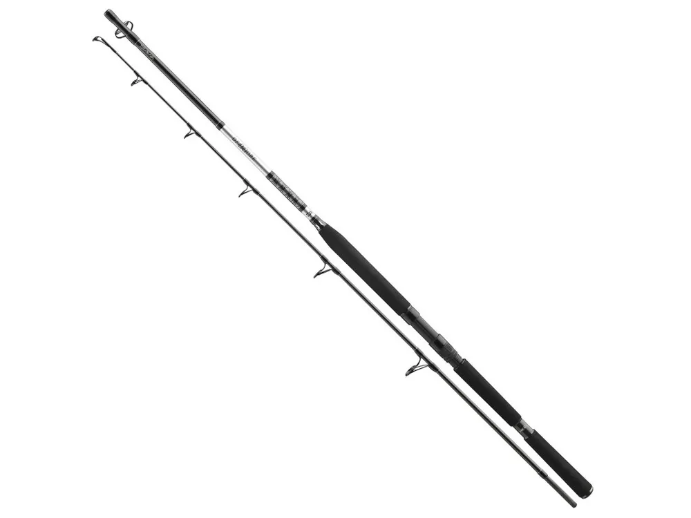 Speciální Cena Daiwa BG Deep Sea 2,2m 40lb Získejte slevu -5% za registraci v e-shopu