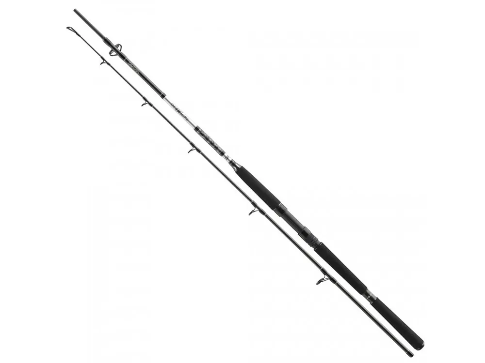 Odeslání Ihned Daiwa BG 2,4m 50-165g Získejte slevu -5% za registraci v e-shopu
