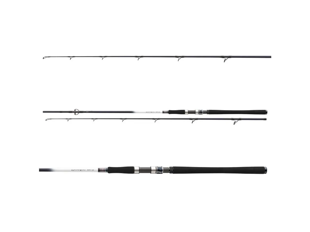 Zlevněný Daiwa Grandwave Pollock 2,40m 40-100g Získejte slevu -5% za registraci v e-shopu