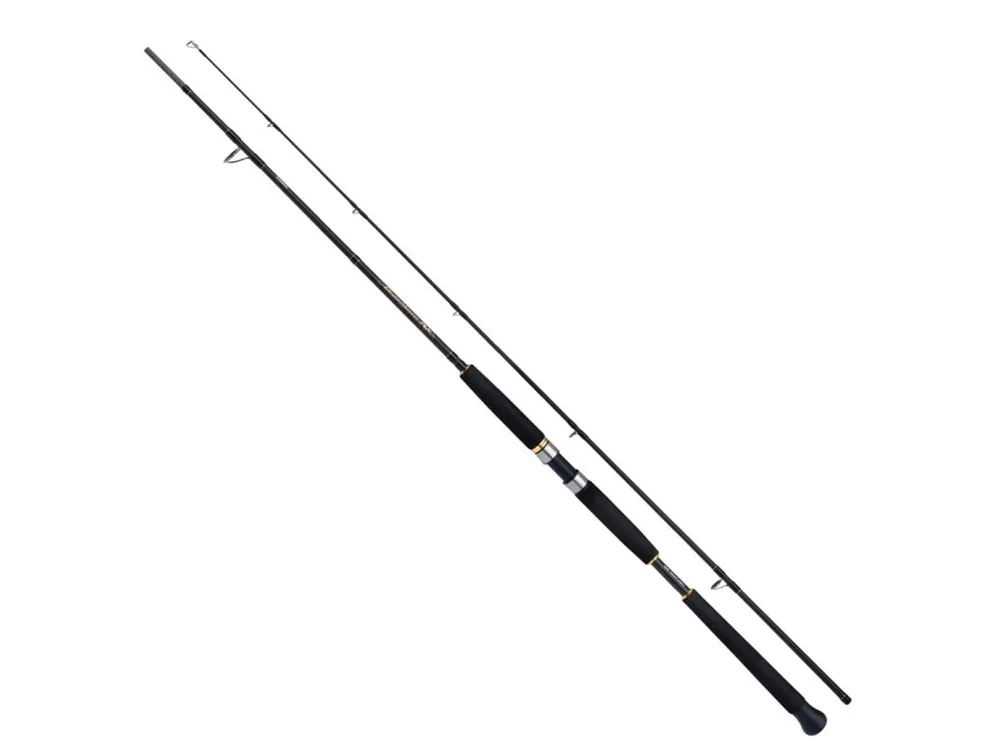 Ihned K Objednání Shimano Beastmaster AX Pilk 2,4m 300g Získejte slevu -5% za registraci v e-shopu