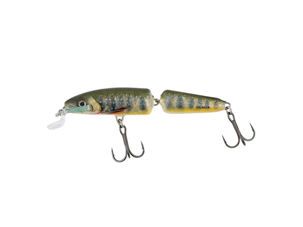 Salmo Fanatic Lake Charr Získejte slevu -5% za registraci v e-shopu Rychlé Dodání