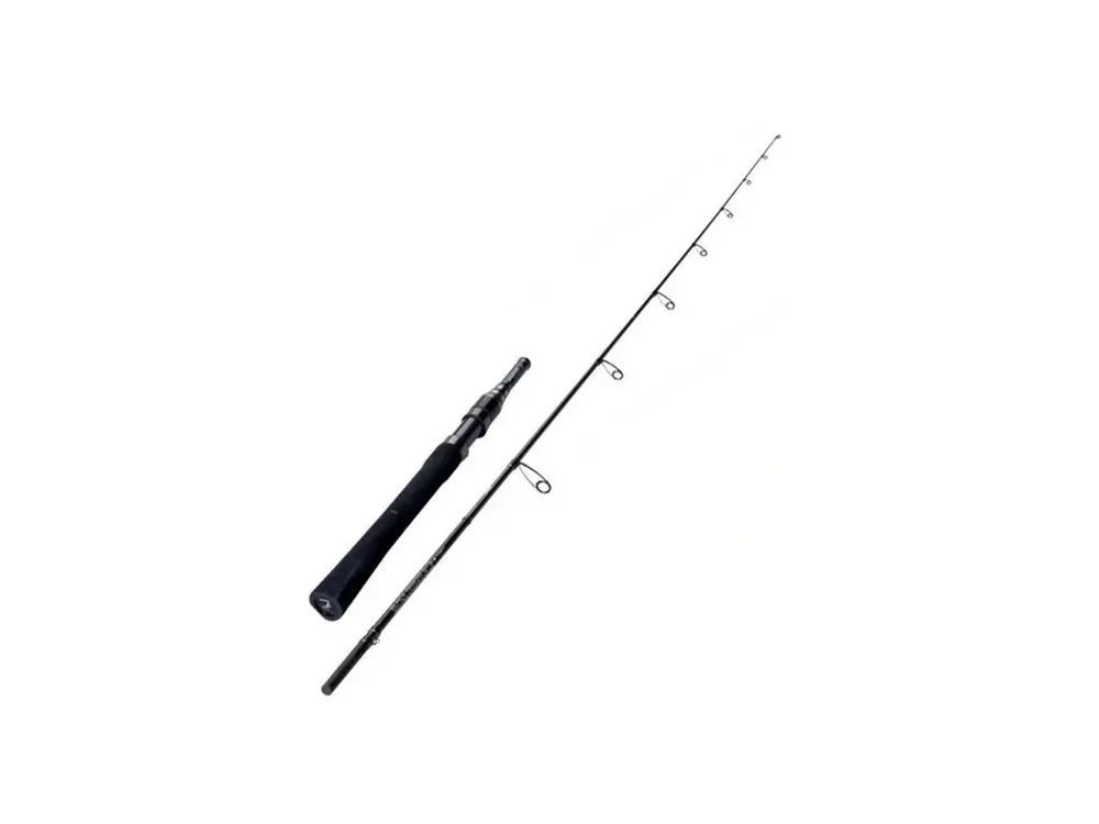 Vysoce Kvalitní Sportex prut Black Arrow G-3 Street 195cm / 10g