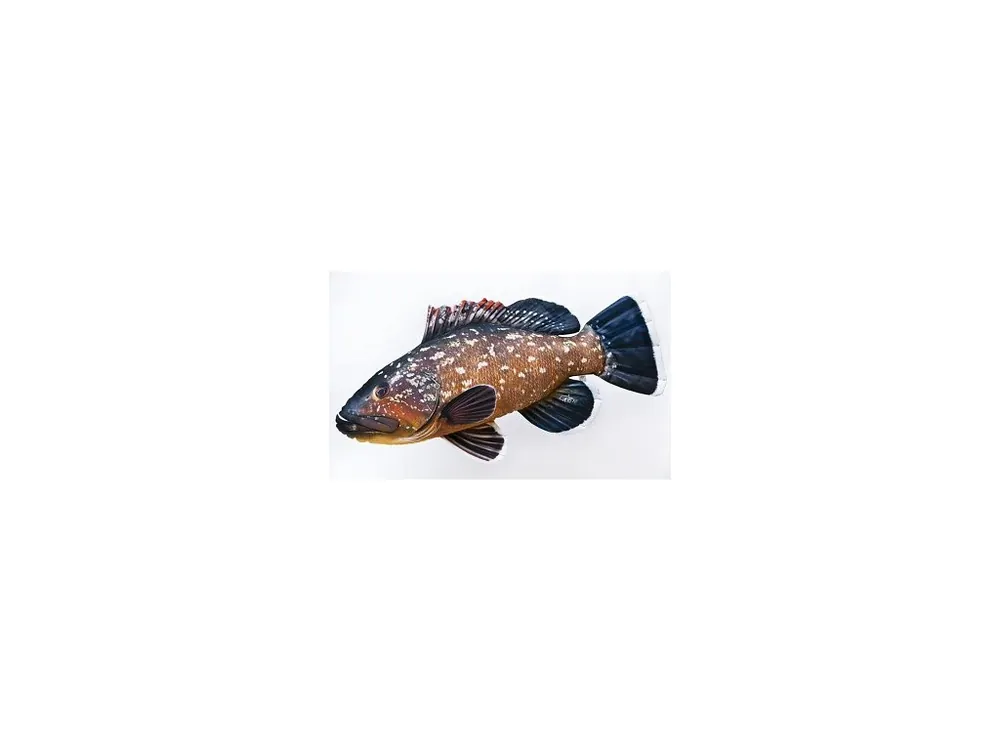 Koupit Online Gaby polštářek ryba - Kanic gauza - 100 cm