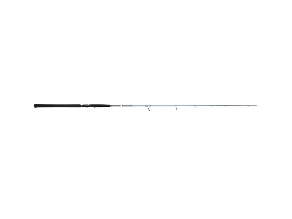 Savage Gear Prut SGS2 Jigging 1,8 m 100-250 g Koupit Online