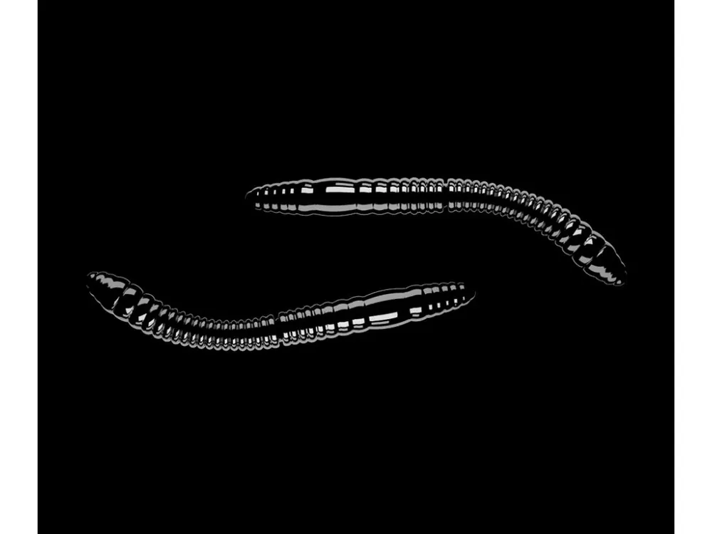 LIBRA LURES Fatty D’Worm Tournament 55 – Black 040 (Cheese) – 12ks/bal Autentický