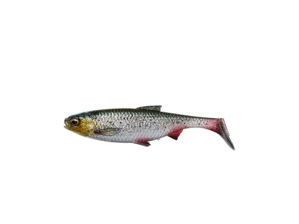 Novinka Savage Gear Gumová Nástraha 3D River Roach Green Silver