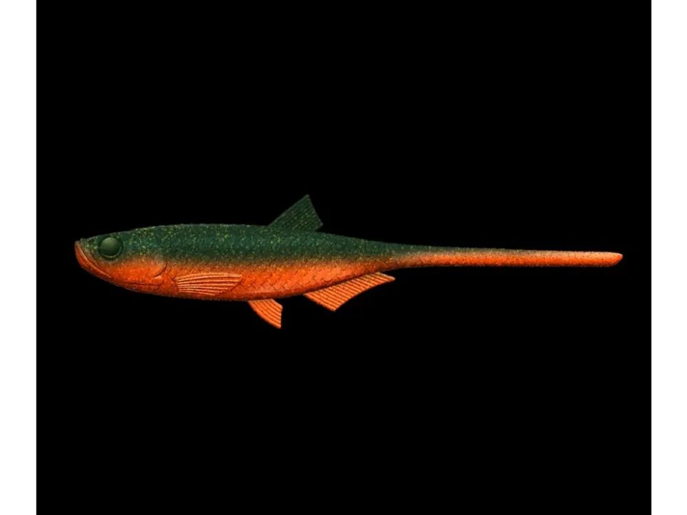 LIBRA LURES Bleak Slug Tail 8,2″ – 21cm – Angry Carrot 111 Pouze Dnes
