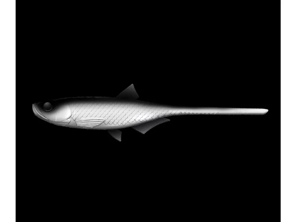 Hit Sezóny LIBRA LURES Bleak Slug Tail 8,2″ – 21cm – White 001