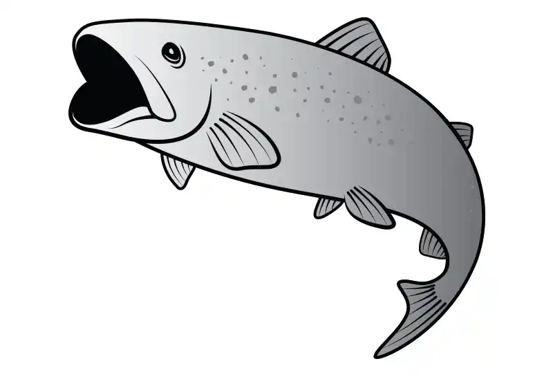 Autentický DELPHIN - Nálepka pstruh stříbrná