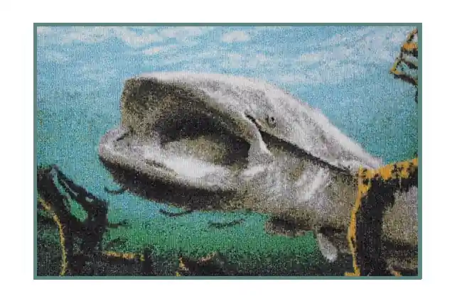 DELPHIN - Rohož 3D sumec pod hladinou Sleva