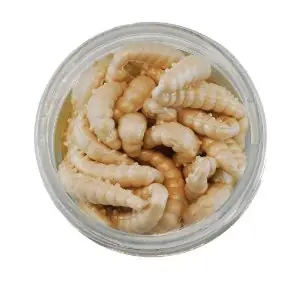 PWRBT VOSÍ LARVY 2,5cm NATURAL 55ks Novinka