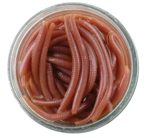 Novinka GULP HNOJŇÁK 5CM HNĚDÁ 60ks