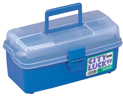 Expresní Doručení New Cityrack 55