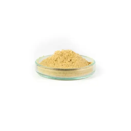 Koupit Online Mikbaits Extract Garlic 50g