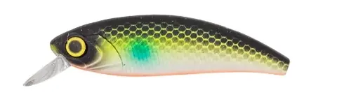Carp Zoom Immortal Shad 5cm Flottant Noir-Vert Expresní Doručení
