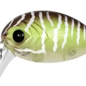 Must-Have Carp Zoom UL Bug Wobbler 3,2cm 3,5g Grün-Braun