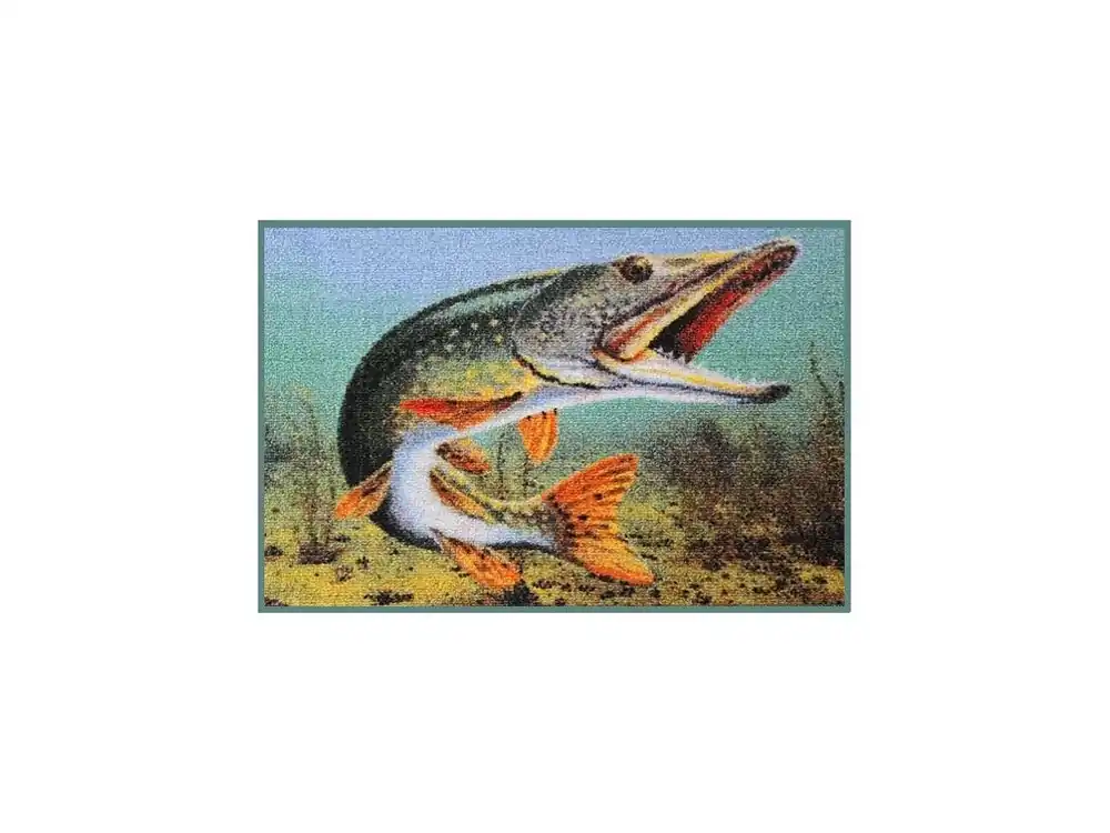 Delphin rohožka 3D Štika - 60 x 40 cm Výprodej