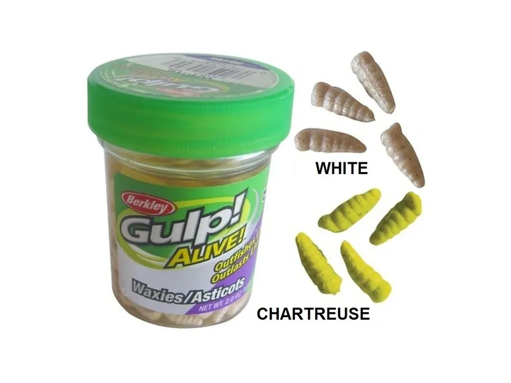 Nejprodávanější Berkley Gulp Alive Waxies/Asticots červi 1 cm- 190 ks