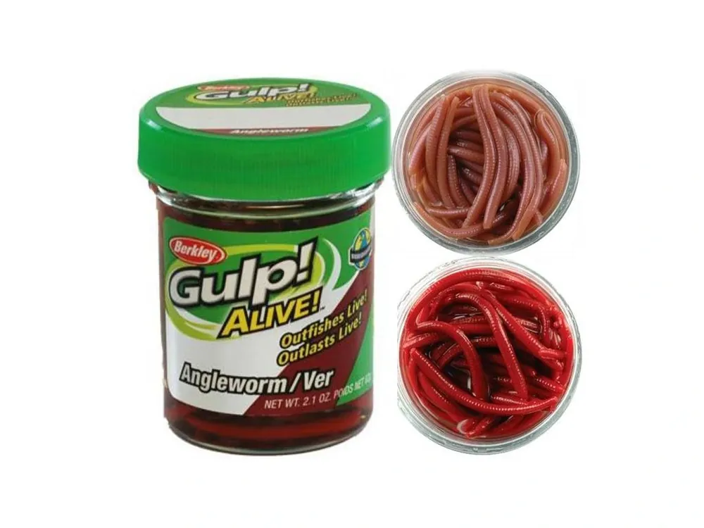 Berkley Gulp Alive Angleworm/Ver žížaly hnojňák 5 cm - 60 ks Zlevněný