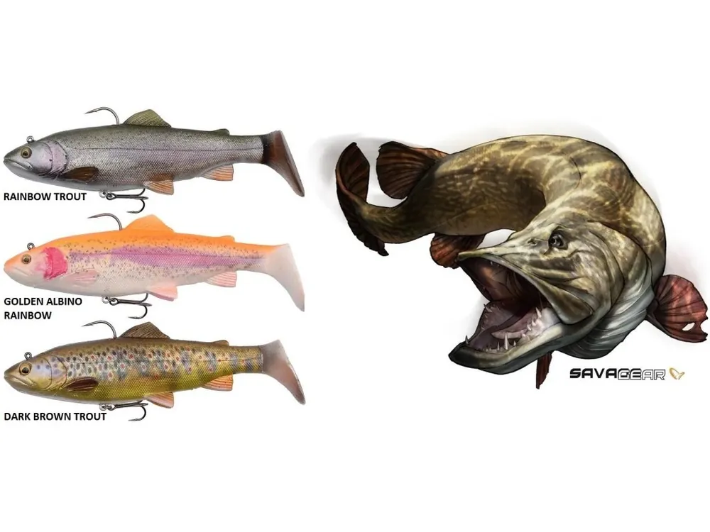 Koupit Online Gumové nástrahy Savage Gear 4D Trout Rattle Shad 12,5 cm/35 g