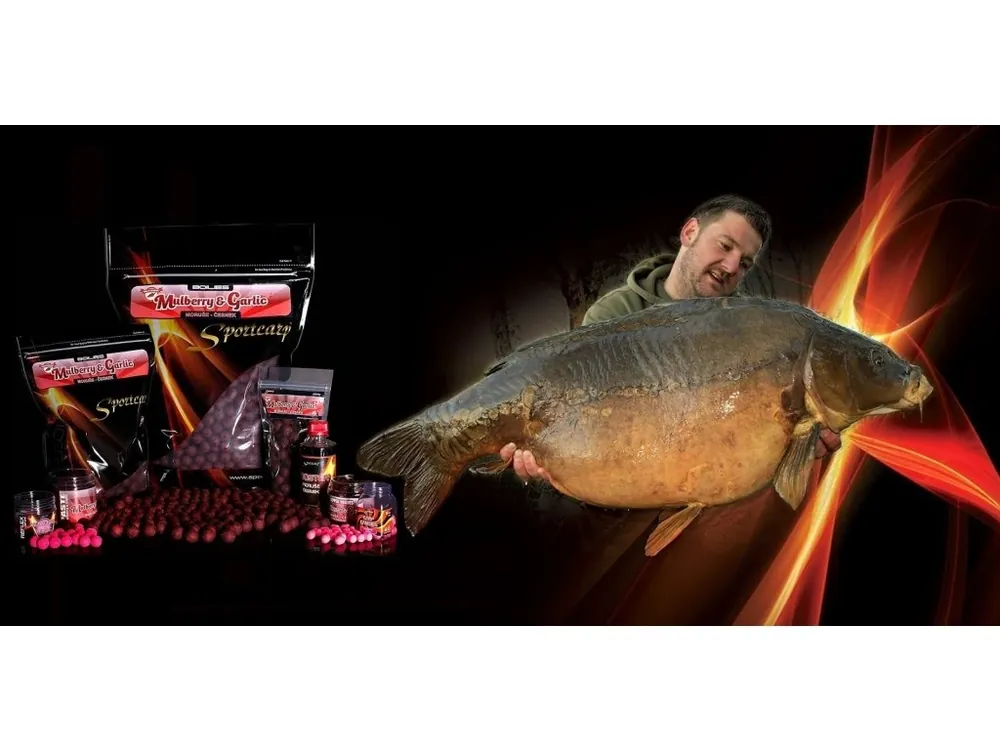 Levný Sportcarp boilies Mulberry Garlic 800g