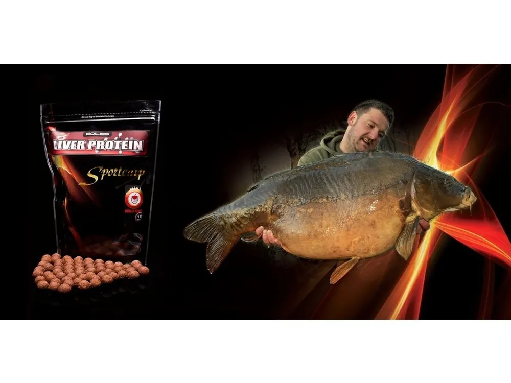 Sportcarp boilies Liver Protein Chilli Fruit 1 kg Nejlepší Cena