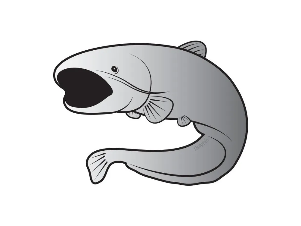 Nakupujte Hned Delphin samolepka Sumec Silver
