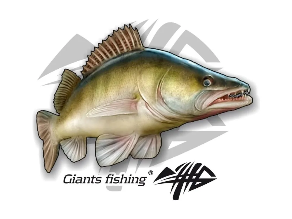 Nálepka malá Giants Fishing Candát Vrácení Zdarma